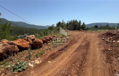 ANTALYA/ALANYA/YAYLA KONAK'DA SATILIK TARLA