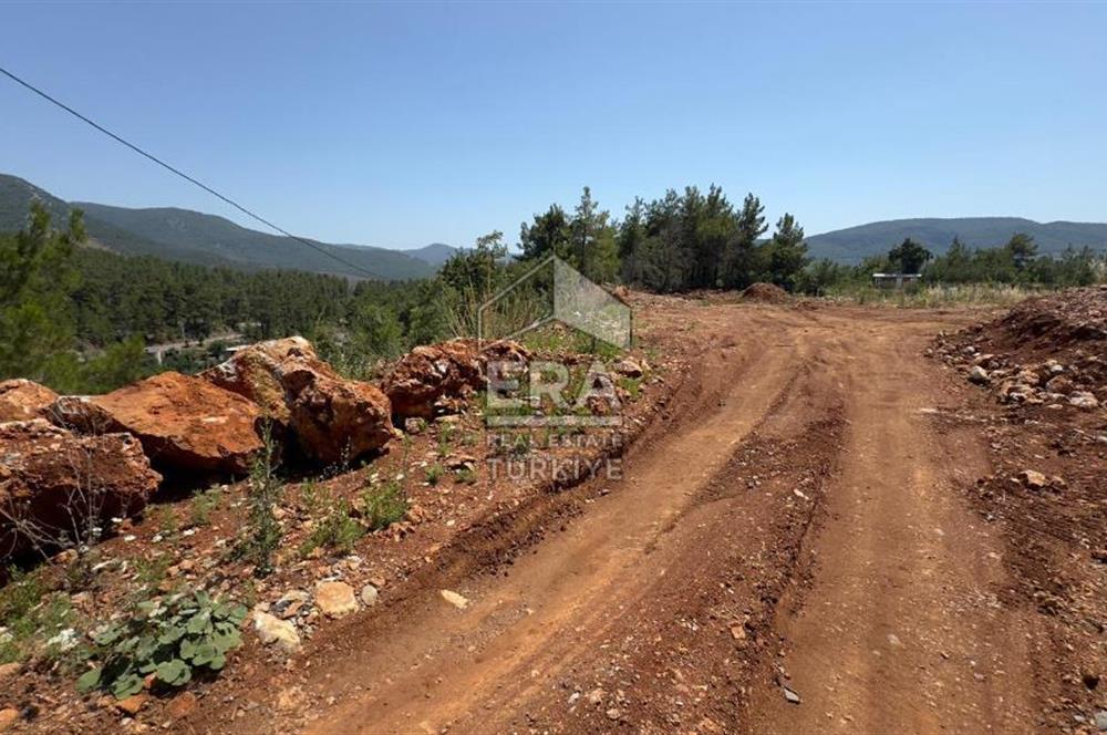 ANTALYA/ALANYA/YAYLA KONAK'DA SATILIK TARLA