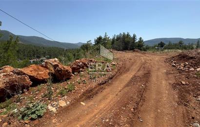 ANTALYA/ALANYA/YAYLA KONAK'DA SATILIK TARLA