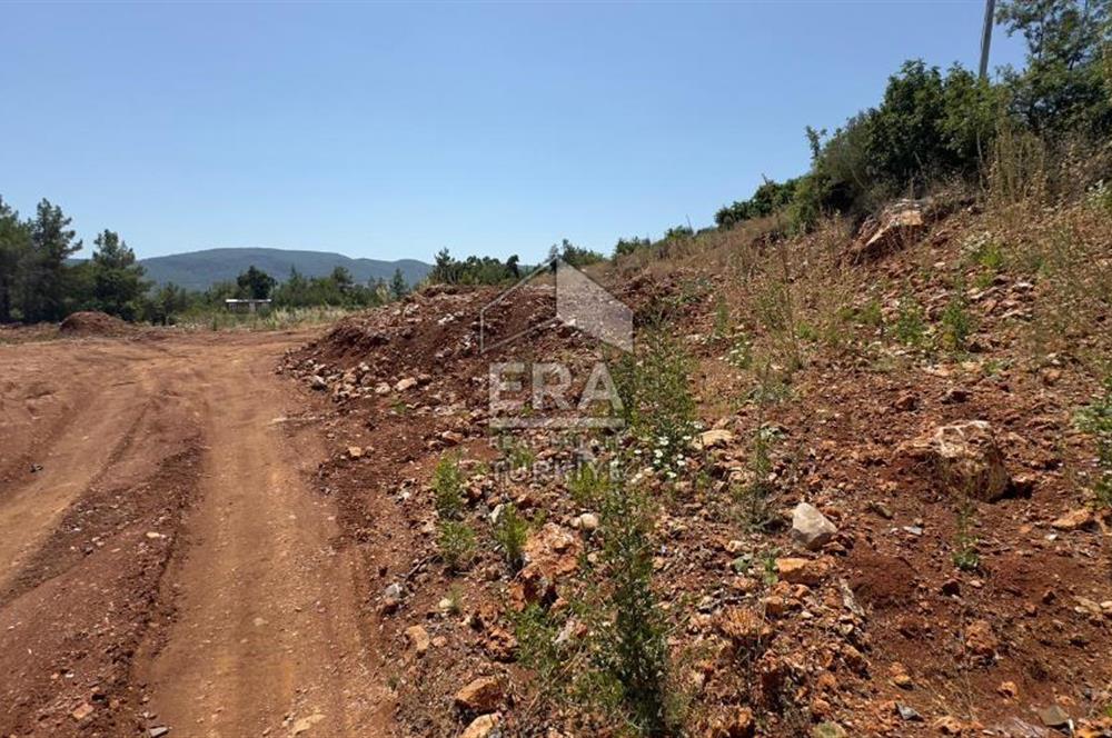 ANTALYA/ALANYA/YAYLA KONAK'DA SATILIK TARLA