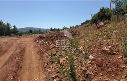 ANTALYA/ALANYA/YAYLA KONAK'DA SATILIK TARLA