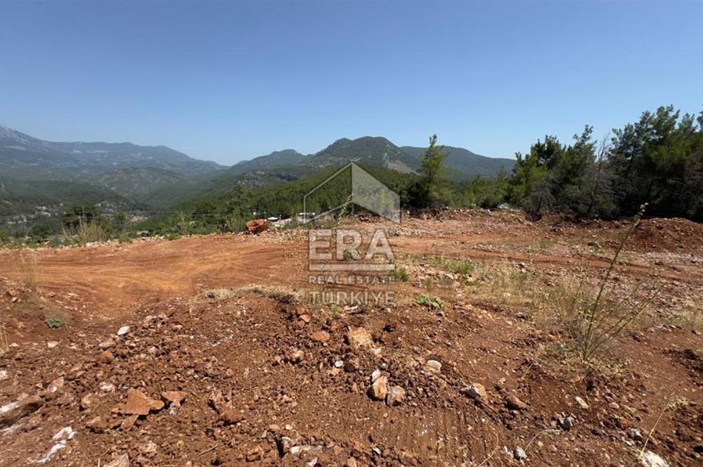 ANTALYA/ALANYA/YAYLA KONAK'DA SATILIK TARLA