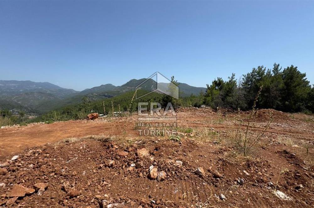 ANTALYA/ALANYA/YAYLA KONAK'DA SATILIK TARLA