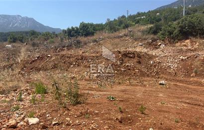 ANTALYA/ALANYA/YAYLA KONAK'DA SATILIK TARLA