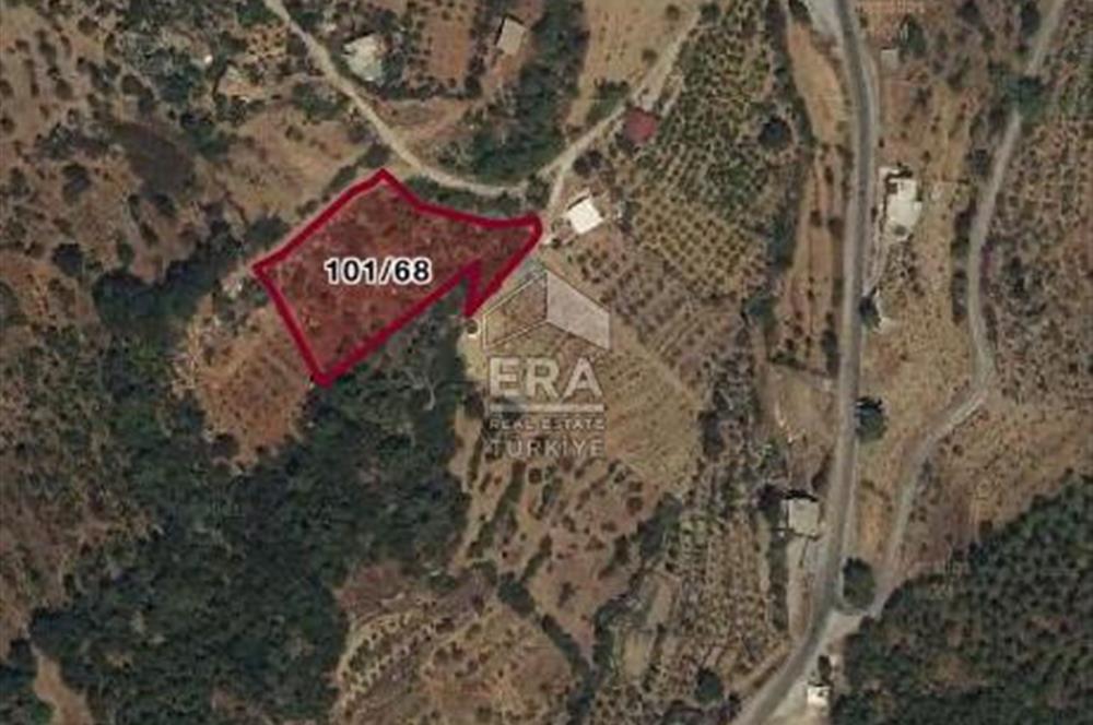 ANTALYA/ALANYA/YAYLA KONAK'DA SATILIK TARLA