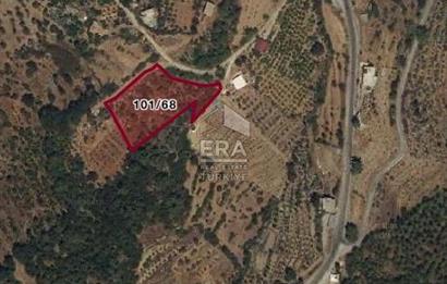 ANTALYA/ALANYA/YAYLA KONAK'DA SATILIK TARLA