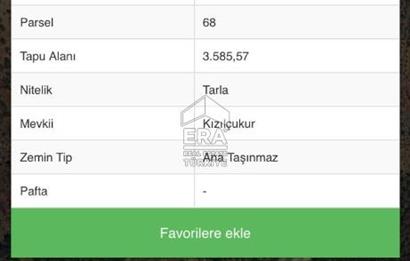 ANTALYA/ALANYA/YAYLA KONAK'DA SATILIK TARLA