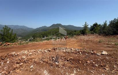 ANTALYA/ALANYA/YAYLA KONAK'DA SATILIK TARLA