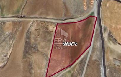 Tilmis bölgesi hisseli arazi