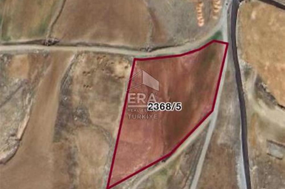 Tilmis bölgesi hisseli arazi