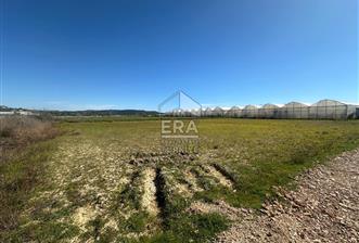 Antalya Manavgat Yalçıdibi Satılık Tarla - 8 - 14893