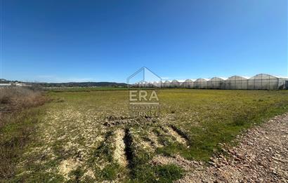 Antalya Manavgat Yalçıdibi Satılık Tarla