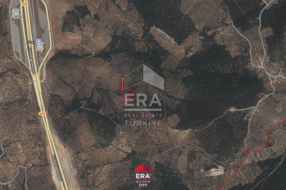 İZMİR BERGAMA'DA 9.004.14 M ² SATILIK ZEYTİNLİK