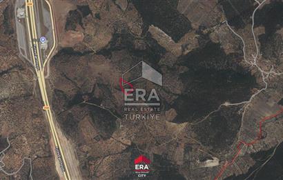 İZMİR BERGAMA'DA 9.004.14 M ² SATILIK ZEYTİNLİK