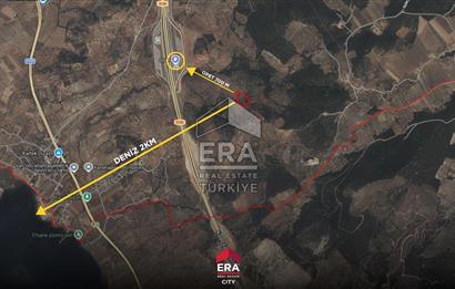 İZMİR BERGAMA'DA 9.004.14 M ² SATILIK ZEYTİNLİK