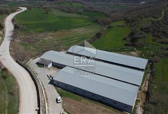 ERA SÖZ DEN 600 BÜYÜK BAŞ KAPASİTELİ SATILIK ÇİFTLİK - 1 - 14995