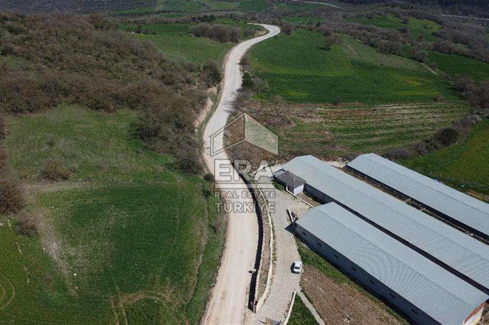 ERA SÖZ DEN 600 BÜYÜK BAŞ KAPASİTELİ SATILIK ÇİFTLİK