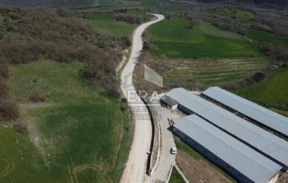 ERA SÖZ DEN 600 BÜYÜK BAŞ KAPASİTELİ SATILIK ÇİFTLİK