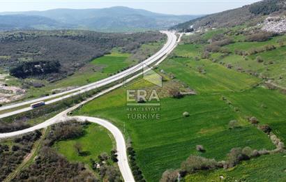 ERA SÖZ DEN 600 BÜYÜK BAŞ KAPASİTELİ SATILIK ÇİFTLİK