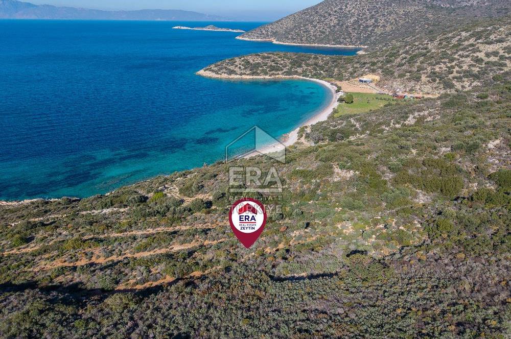 Datça Cumalı Bükceğiz Koyunda Satılık 2041m² Denize Sıfır Tarla