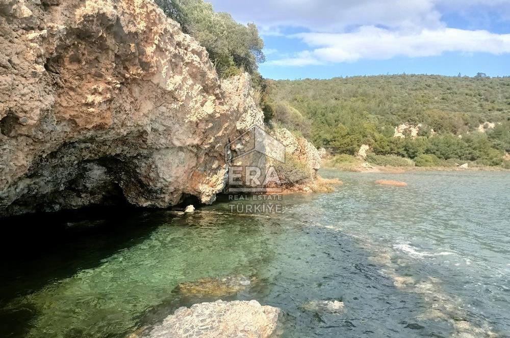 aydın Söke Doğanbey de satılık tarla