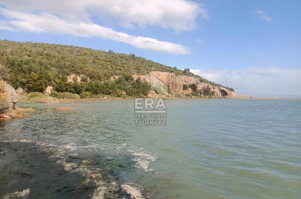 aydın Söke Doğanbey de satılık tarla