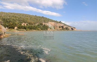 aydın Söke Doğanbey de satılık tarla