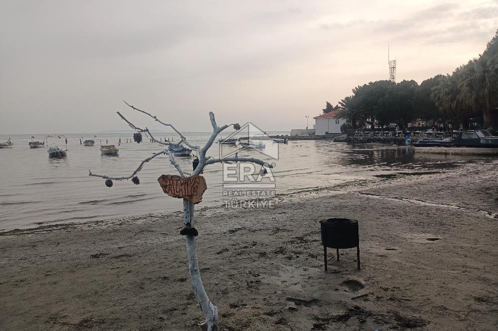 aydın Söke Doğanbey de satılık tarla