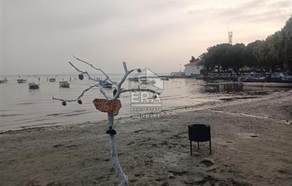 aydın Söke Doğanbey de satılık tarla