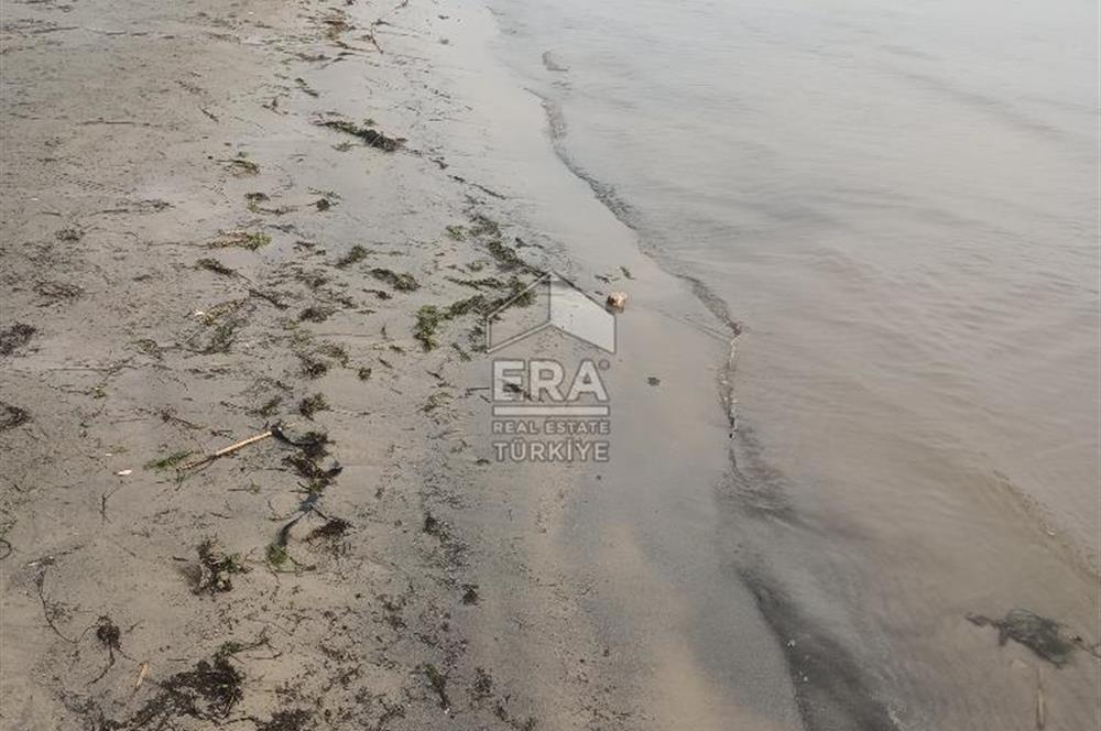 aydın Söke Doğanbey de satılık tarla