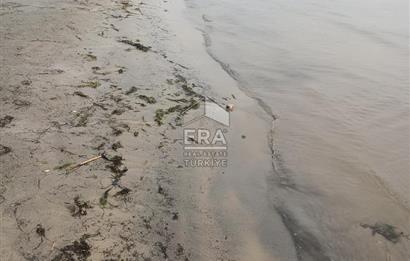 aydın Söke Doğanbey de satılık tarla