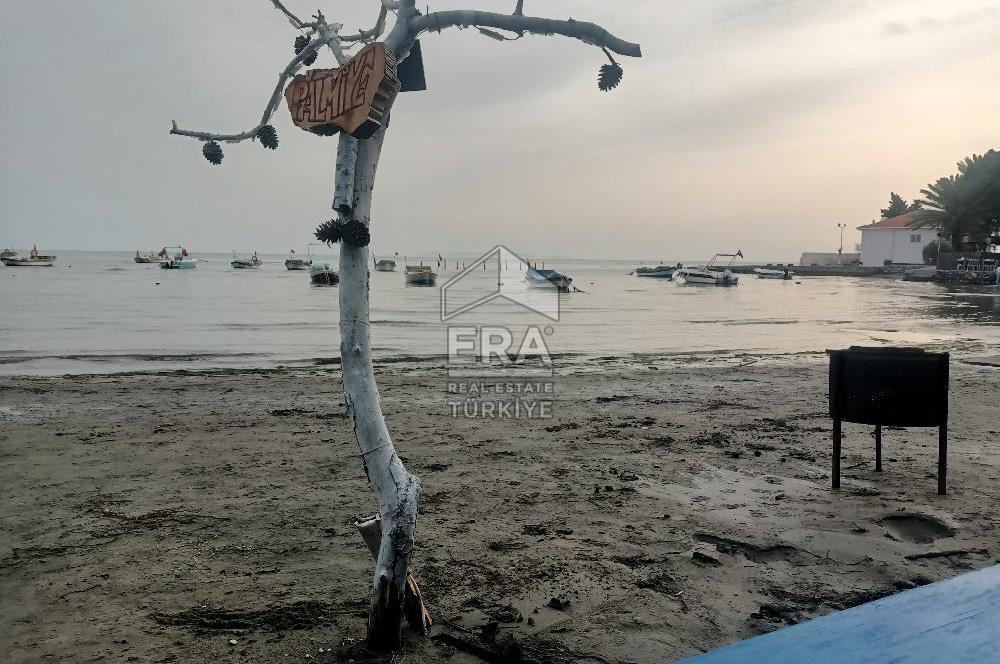 aydın Söke Doğanbey de satılık tarla