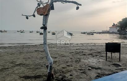 aydın Söke Doğanbey de satılık tarla