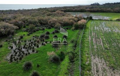 aydın Söke Doğanbey de satılık tarla