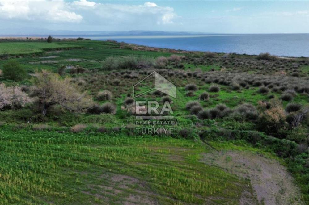 aydın Söke Doğanbey de satılık tarla