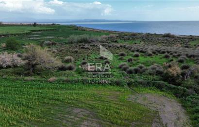 aydın Söke Doğanbey de satılık tarla