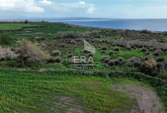 aydın Söke Doğanbey de satılık tarla - 7 - 14957