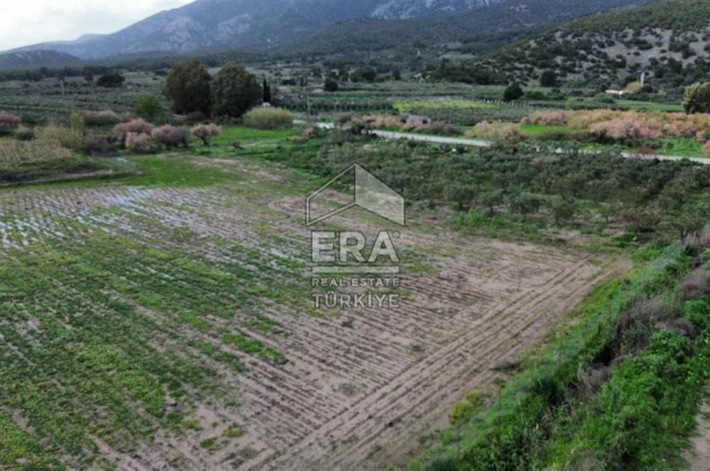 aydın Söke Doğanbey de satılık tarla