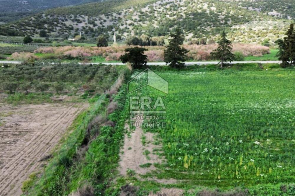 aydın Söke Doğanbey de satılık tarla