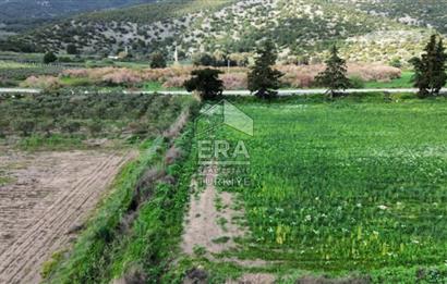 aydın Söke Doğanbey de satılık tarla