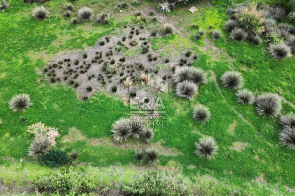 aydın Söke Doğanbey de satılık tarla