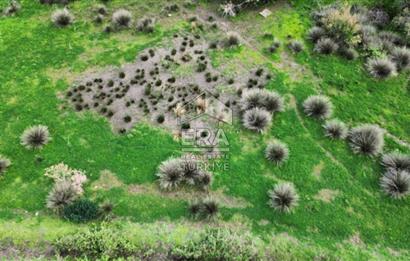 aydın Söke Doğanbey de satılık tarla