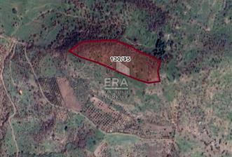 AYVALIK BEŞİKTEPE'DE SATILIK TARLA - 1 - 14976