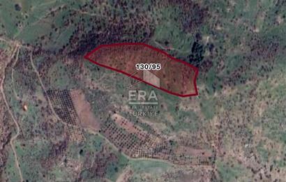 AYVALIK BEŞİKTEPE'DE SATILIK TARLA