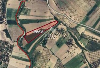 AYVALIK KIRCILAR'DA SATILIK TARLA  - 1 - 14977