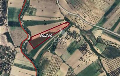 AYVALIK KIRCILAR'DA SATILIK TARLA 