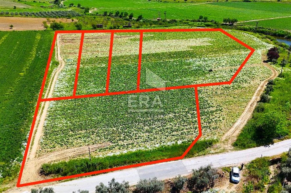 100.000 M2 RESMİ YOL CEPHELİ NİTELİKLİ ARAZİLER