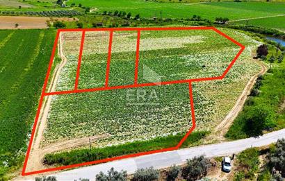 100.000 M2 RESMİ YOL CEPHELİ NİTELİKLİ ARAZİLER