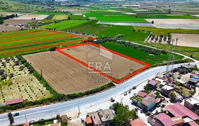 100.000 M2 RESMİ YOL CEPHELİ NİTELİKLİ ARAZİLER