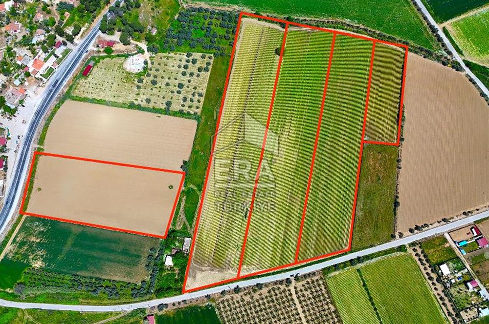 100.000 M2 RESMİ YOL CEPHELİ NİTELİKLİ ARAZİLER